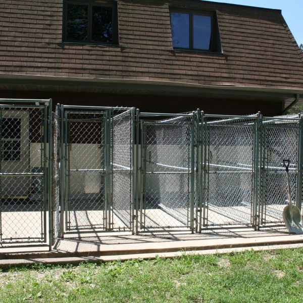 dog-boarding-training-mchenry-il-149